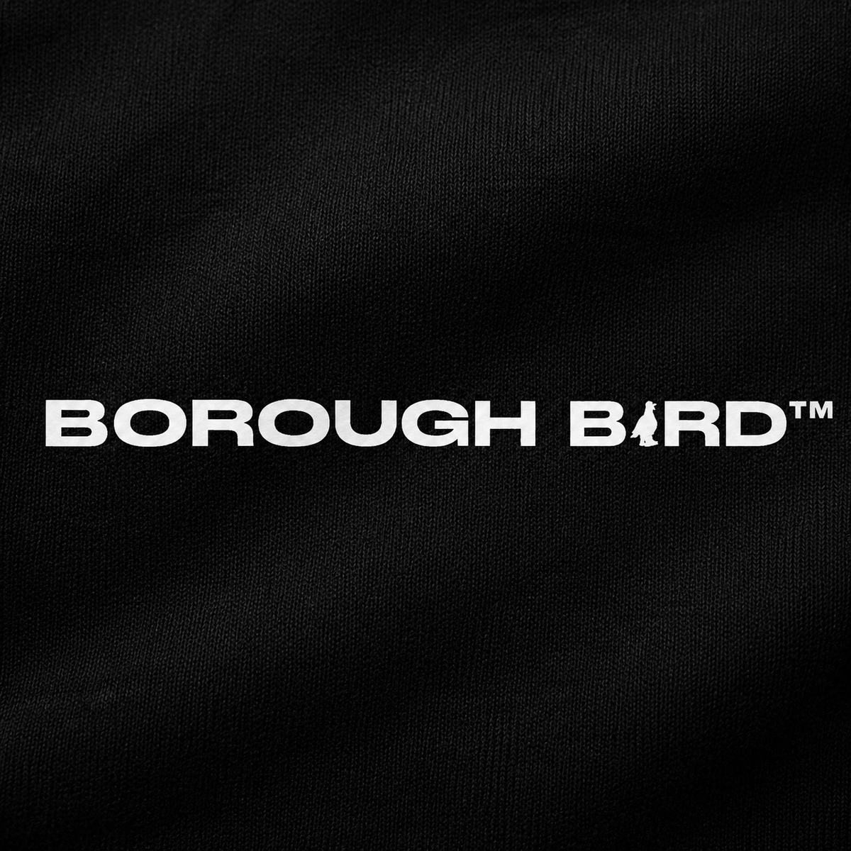 Bronx Borough Bird No. 99 Varsity Jacket – Pinstripe Edition