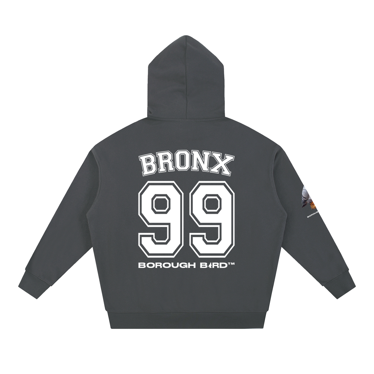 Bronx Borough Bird No. 99 Heavyweight Hoodie – Pinstripe Legacy Edition